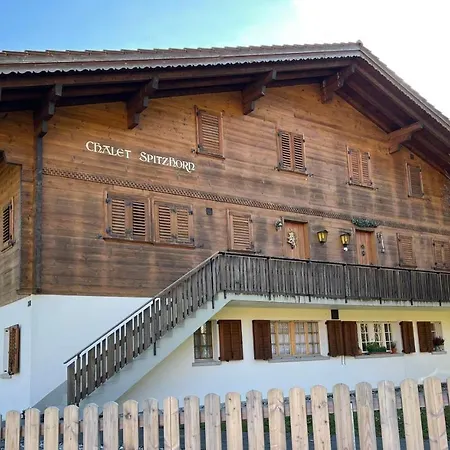 Chalet Spitzhorn - Your Peak Getaway - Private Terrasse & Gratis Parkplatz Gsteig Exterior photo